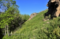 Кувандыкский район