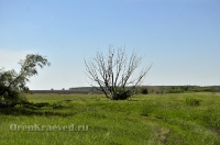 Кувандыкский район