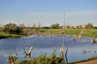 Кувандыкский район