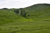 Кувандыкский район