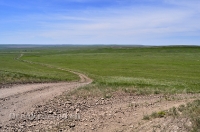 Кувандыкский район