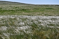 Кувандыкский район