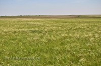 Кувандыкский район