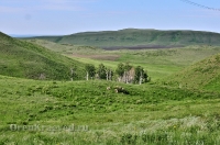 Кувандыкский район