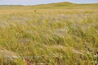 Беляевский район