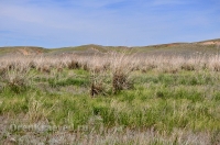 Беляевский район