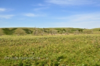 Беляевский район