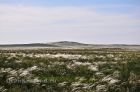 Беляевский район