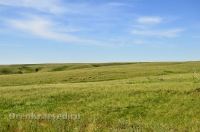 Беляевский район