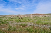 Беляевский район