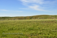 Беляевский район