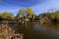 Новоорский район