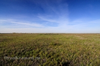 Новоорский район