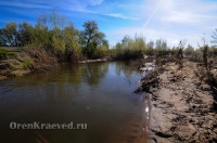 Новоорский район