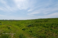 Новоорский район