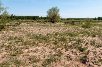 Новоорский район