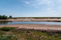 Новоорский район