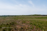 Новоорский район