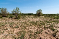 Новоорский район