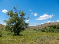 В окрестностях Яманского ущелья