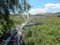 В окрестностях Яманского ущелья