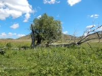 В окрестностях Яманского ущелья
