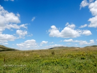 В окрестностях Яманского ущелья