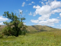 В окрестностях Яманского ущелья