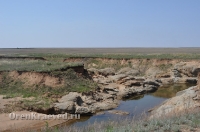 Адамовский район