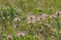 Домбаровский район
