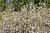 Домбаровский район