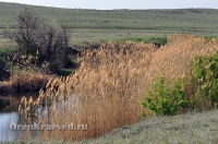 Домбаровский район