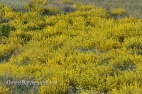 Домбаровский район