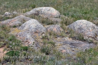 Домбаровский район