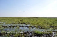 Домбаровский район