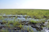 Домбаровский район