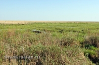 Домбаровский район