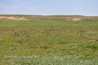 Ясненский район