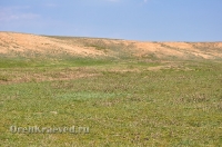 Ясненский район