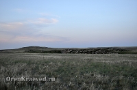 Светлинский район