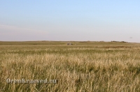 Светлинский район