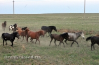 Светлинский район