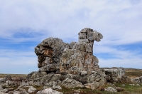 Светлинский район