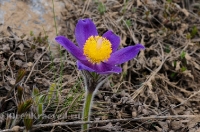 Светлинский район