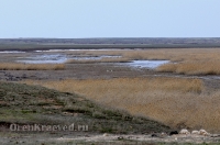 Светлинский район