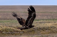 Светлинский район