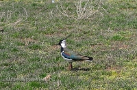 Светлинский район