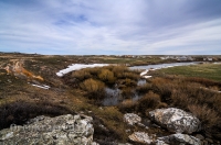 Светлинский район