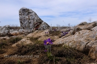 Светлинский район