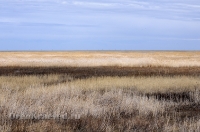 Светлинский район